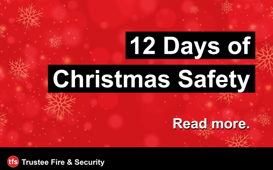 12 Days Of Christmas Safety!