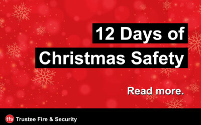 12 Days Of Christmas Safety!